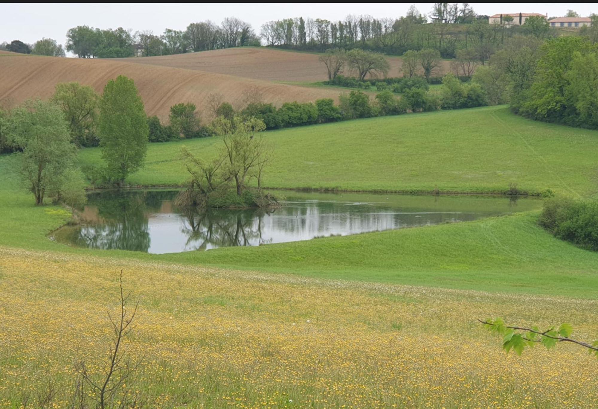 Love Room- Spa- Escale Amoureuse Puygaillard-de-Quercy ภายนอก รูปภาพ